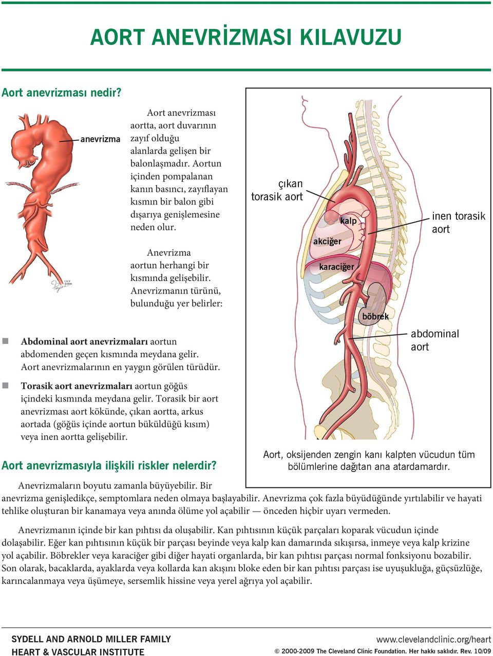 Anevrizmanın türünü, bulunduğu yer belirler: çıkan torasik aort akciğer kalp karaciğer böbrek inen torasik aort Abdominal aort anevrizmaları aortun abdomenden geçen kısmında meydana gelir.