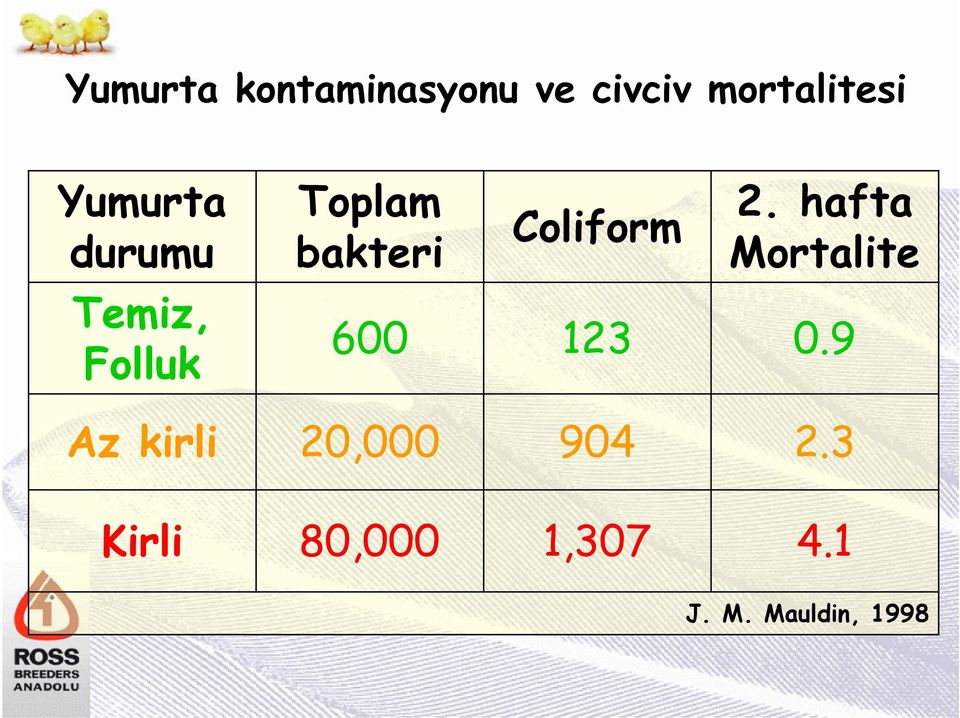 hafta Mortalite Temiz, Folluk 600 123 0.