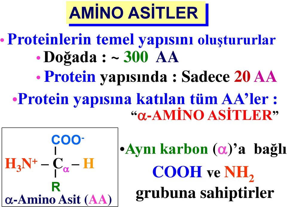 katılan tüm AA ler : a-amino ASİTLER H 3 N + C a H R a-amino