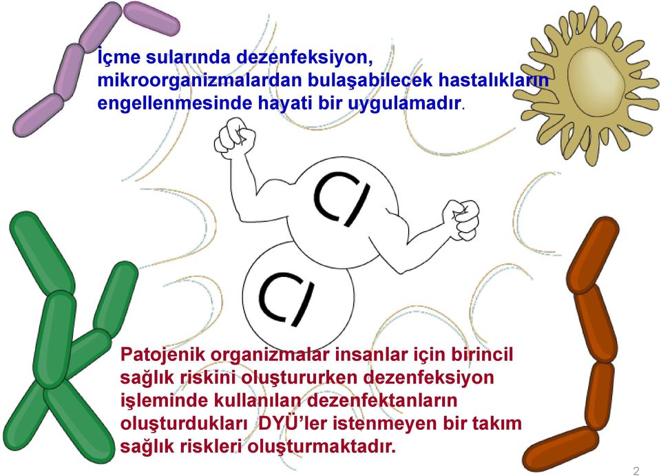 Patojenik organizmalar insanlar için birincil sağlık riskini oluştururken