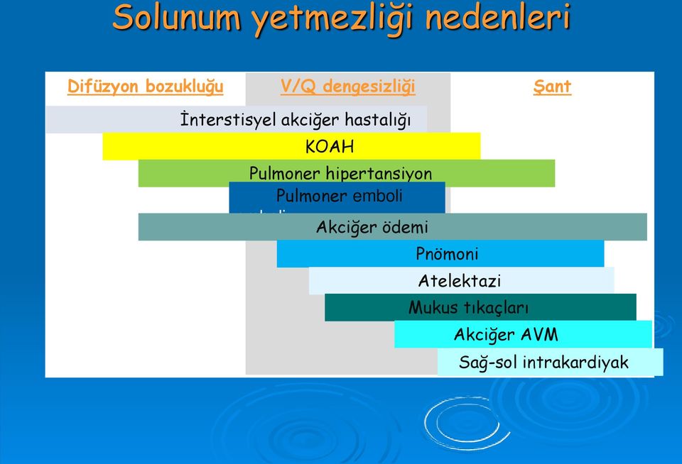 Pulmoner hipertansiyon Pulmoner emboli emboli Akciğer