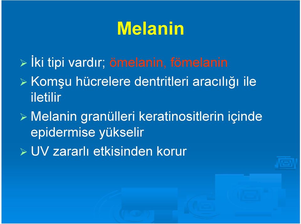 iletilir Melanin granülleri keratinositlerin