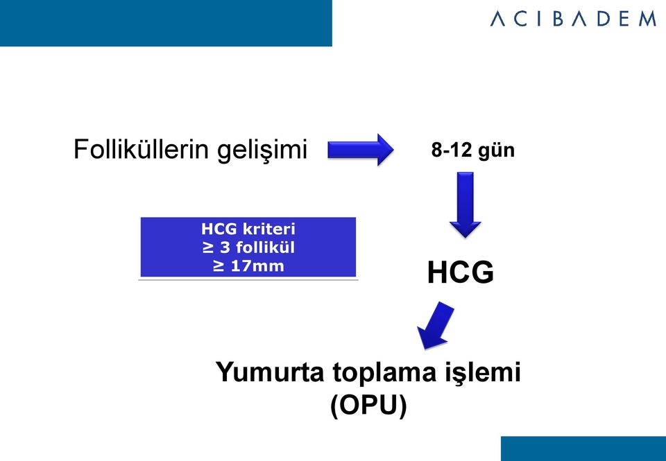 follikül 17mm HCG