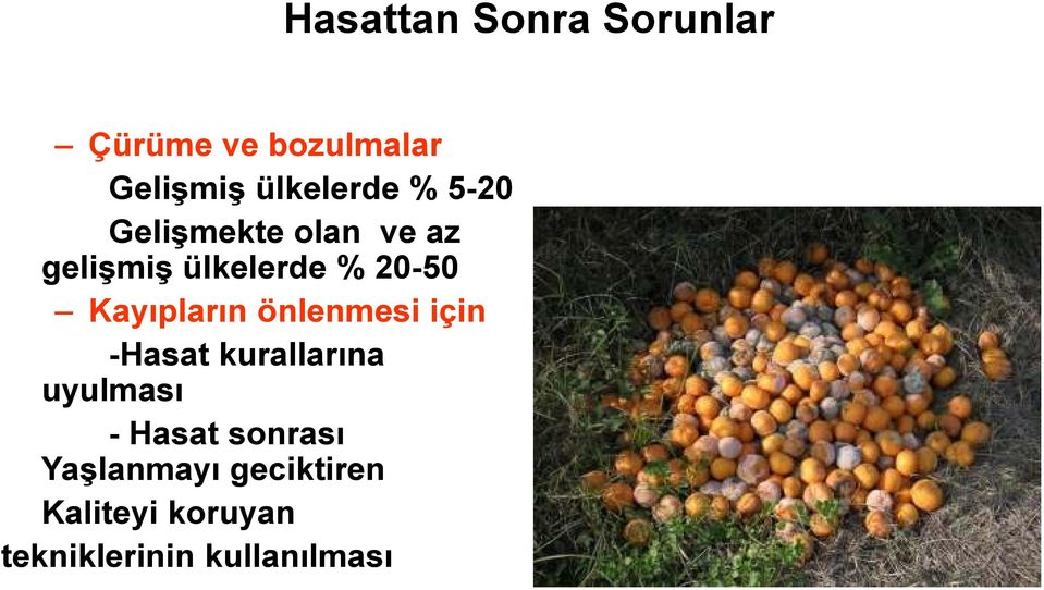 -Hasat kurallarına uyulması - Hasat sonrası Yaşlanmayı