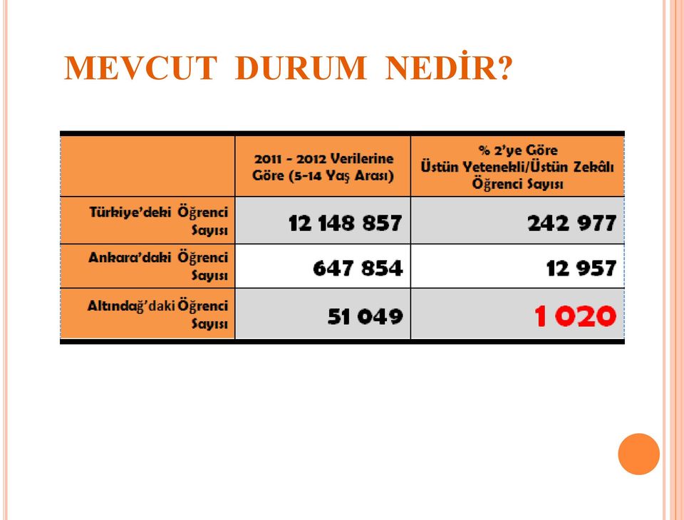 NEDİR?