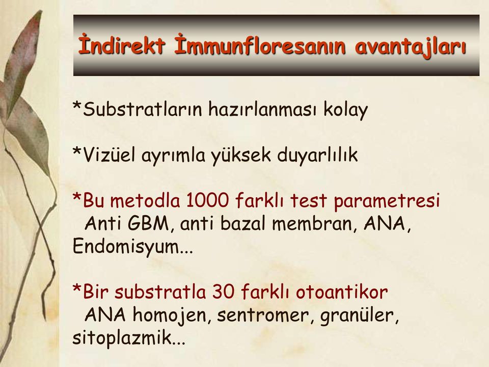 parametresi Anti GBM, anti bazal membran, ANA, Endomisyum.