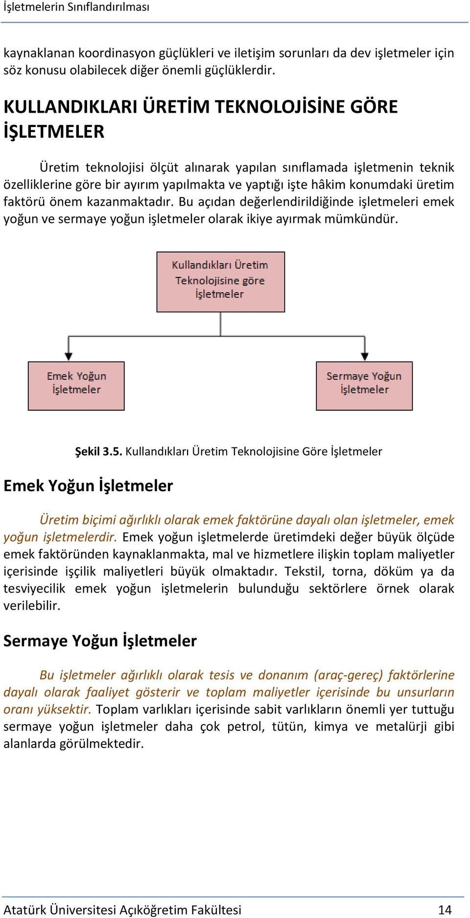 üretim faktörü önem kazanmaktadır. Bu açıdan değerlendirildiğinde işletmeleri emek yoğun ve sermaye yoğun işletmeler olarak ikiye ayırmak mümkündür. Şekil 3.5.