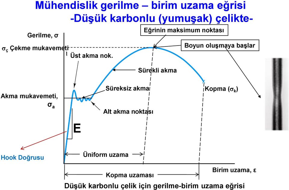 Eğrinin maksimum noktası Sürekli akma Boyun oluşmaya başlar Akma mukavemeti, ζ a