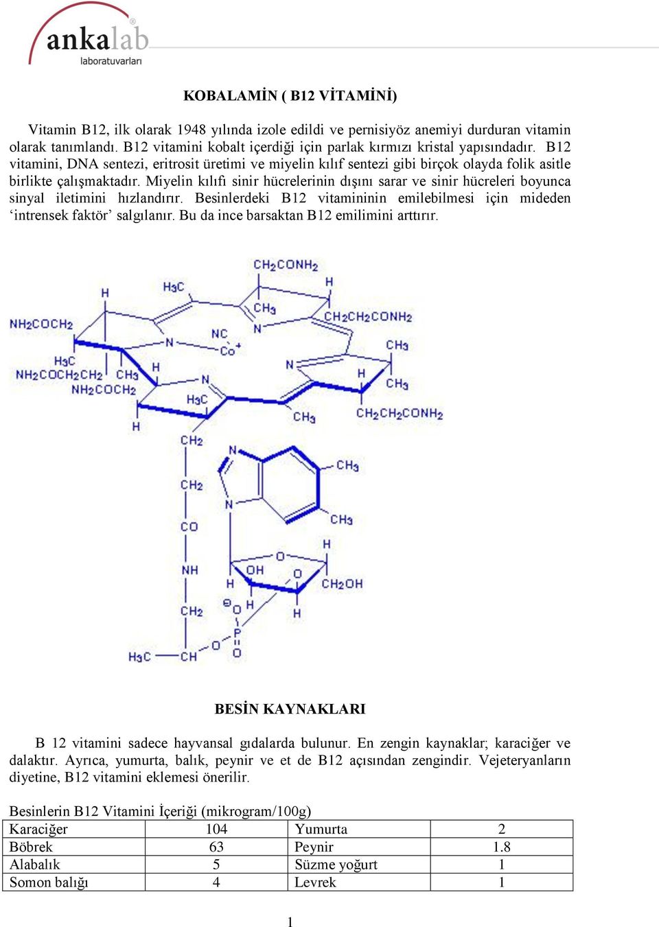 Miyelin kılıfı sinir hücrelerinin dışını sarar ve sinir hücreleri boyunca sinyal iletimini hızlandırır. Besinlerdeki B12 vitamininin emilebilmesi için mideden intrensek faktör salgılanır.