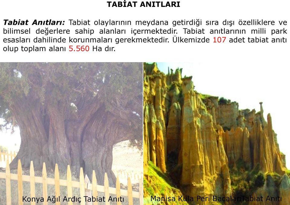 Tabiat anıtlarının milli park esasları dahilinde korunmaları gerekmektedir.