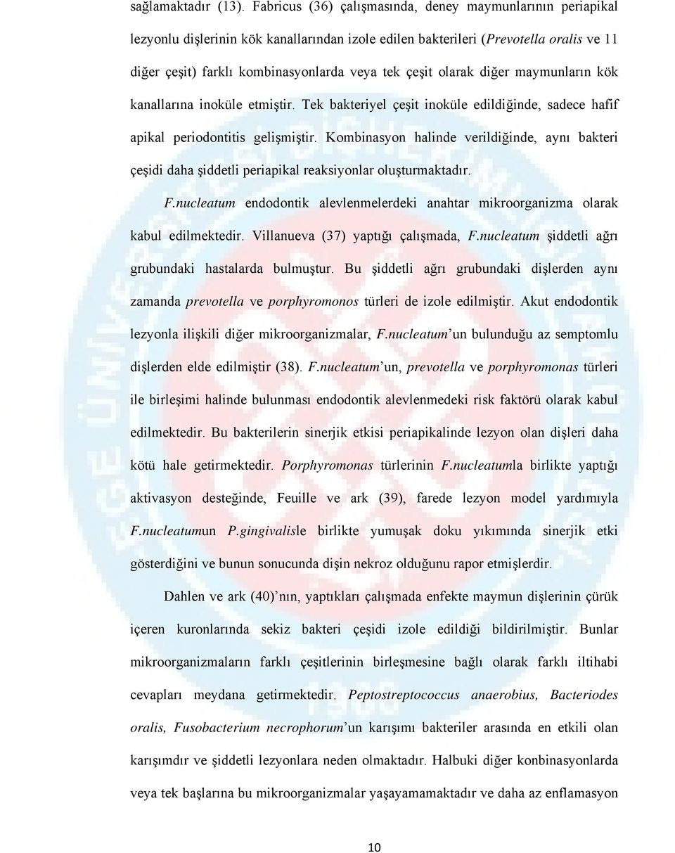 olarak diğer maymunların kök kanallarına inoküle etmiştir. Tek bakteriyel çeşit inoküle edildiğinde, sadece hafif apikal periodontitis gelişmiştir.