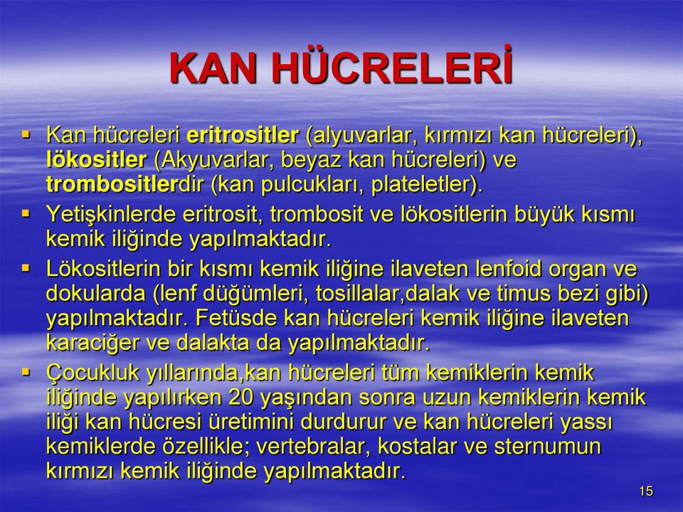 Lökositlerin bir kısmı kemik iliğine ilaveten lenfoid organ ve dokularda (lenf düğümleri, tosillalar,dalak ve timus bezi gibi) yapılmaktadır.