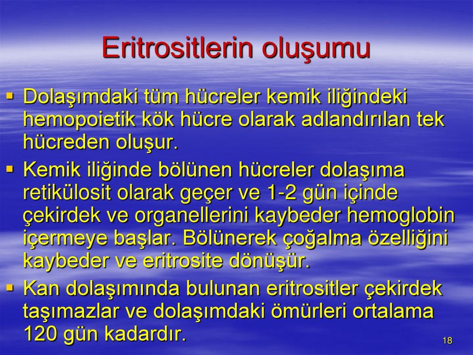 Kemik iliğinde bölünen hücreler dolaşıma retikülosit olarak geçer ve 1-2 gün içinde çekirdek ve organellerini