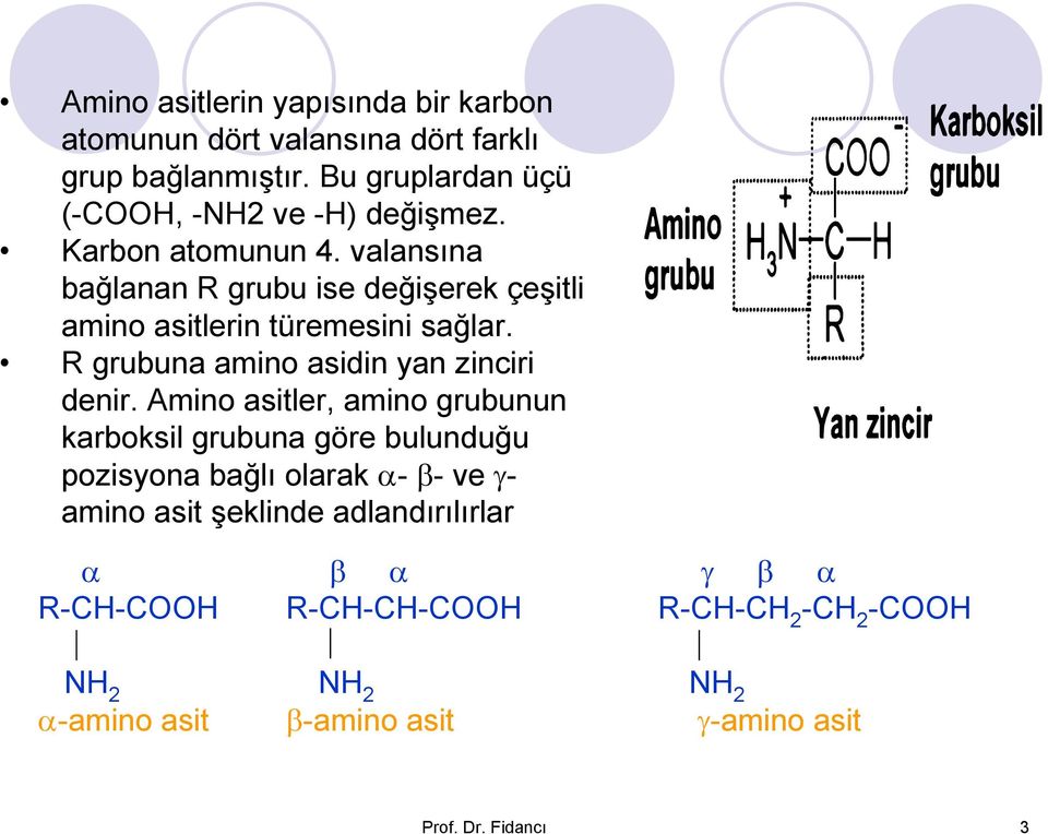 valansına bağlanan R grubu ise değişerek çeşitli amino asitlerin türemesini sağlar. R grubuna amino asidin yan zinciri denir.