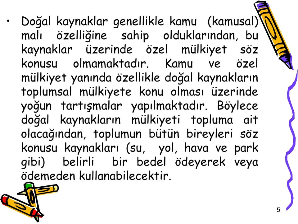 Kamu ve özel mülkiyet yanında özellikle doğal kaynakların toplumsal mülkiyete konu olması üzerinde yoğun tartışmalar