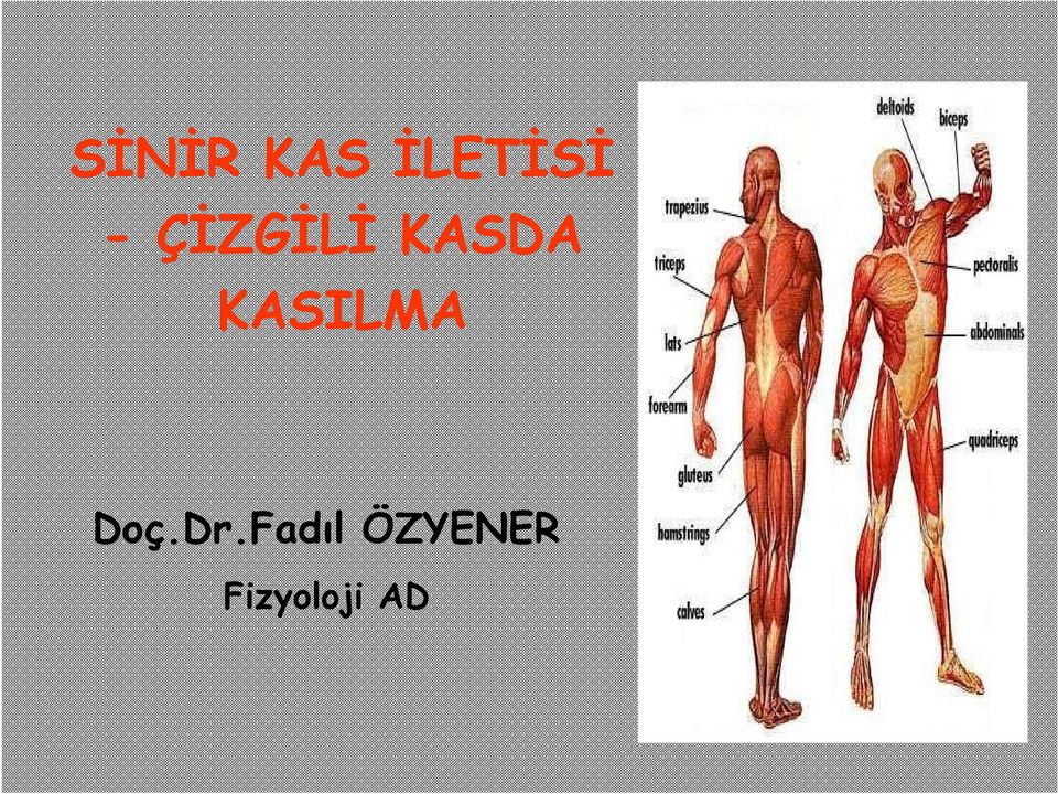 KASILMA Doç.Dr.