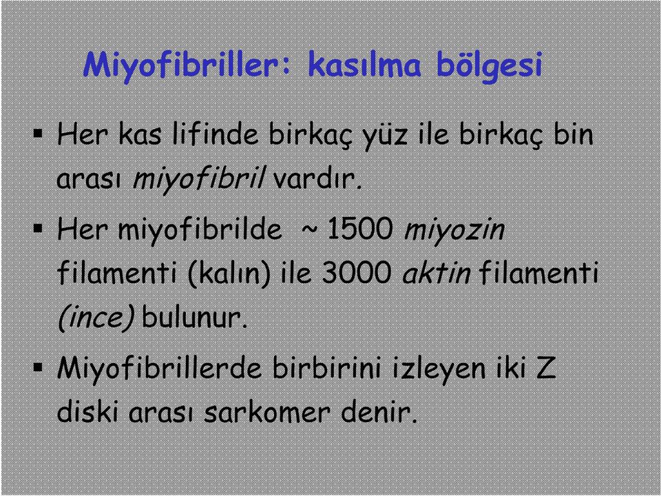 Her miyofibrilde ~ 1500 miyozin filamenti (kalın) ile 3000