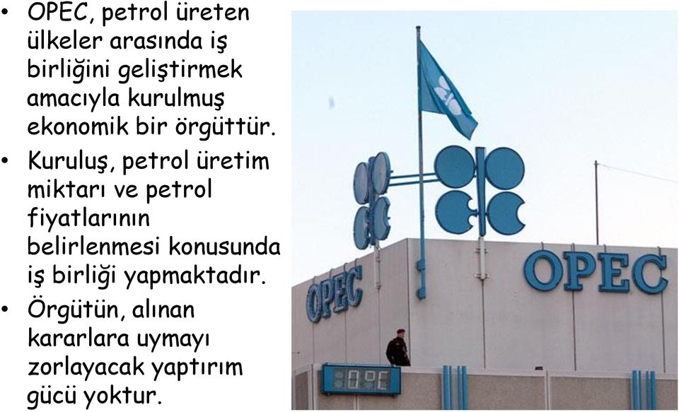 Kuruluş, petrol üretim miktarı ve petrol fiyatlarının belirlenmesi