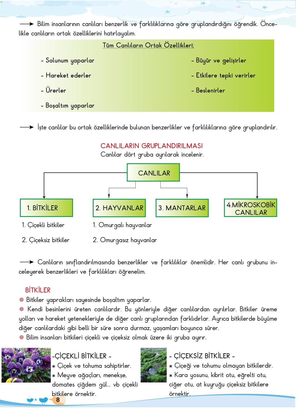 özelliklerinde bulunan benzerlikler ve farklılıklarına göre gruplandırılır. CANLILARIN GRUPLANDIRILMASI Canlılar dört gruba ayrılarak incelenir. CANLILAR 1. BİTKİLER 2. HAYVANLAR 3. MANTARLAR 4.