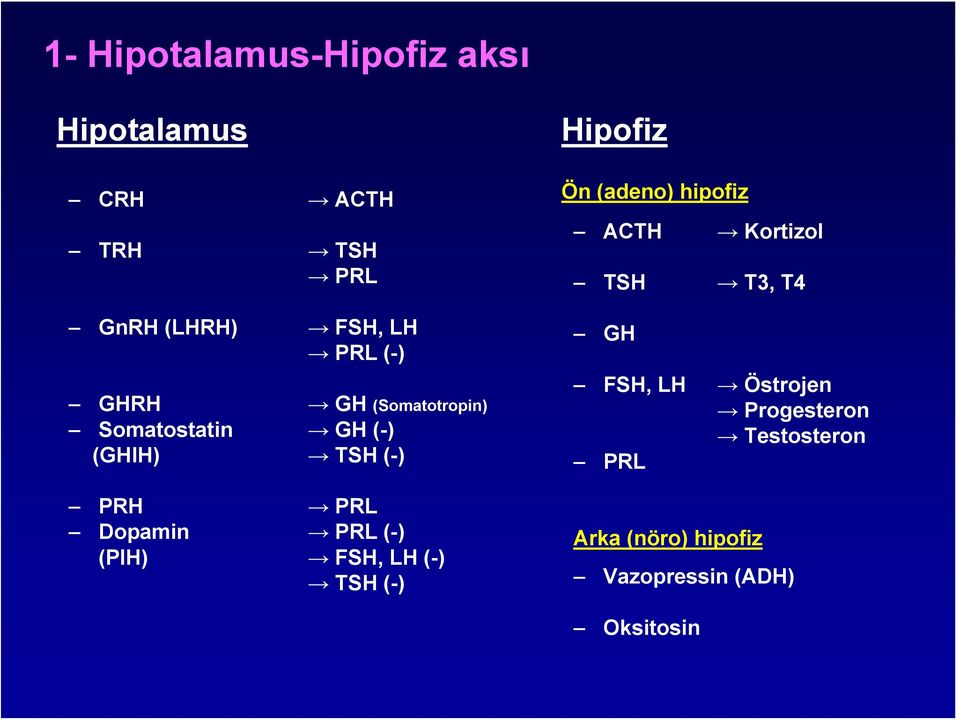 (PIH) FSH, LH (-) TSH (-) Hipofiz Ön (adeno) hipofiz ACTH Kortizol TSH T3, T4 GH FSH,