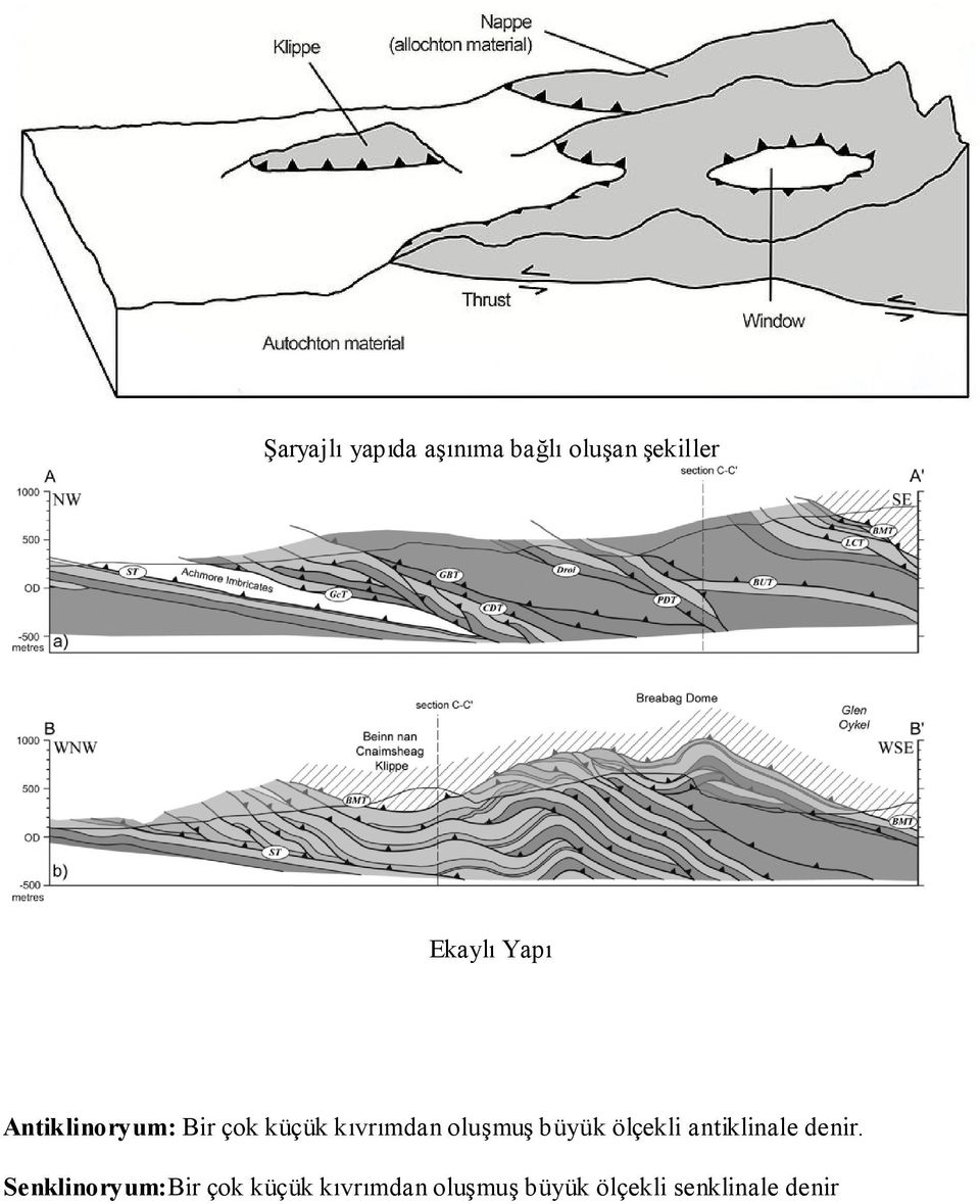 büyük ölçekli antiklinale denir.