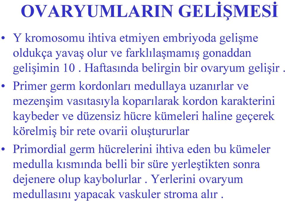 Primer germ kordonları medullaya uzanırlar ve mezenşim vasıtasıyla koparılarak kordon karakterini kaybeder ve düzensiz hücre kümeleri