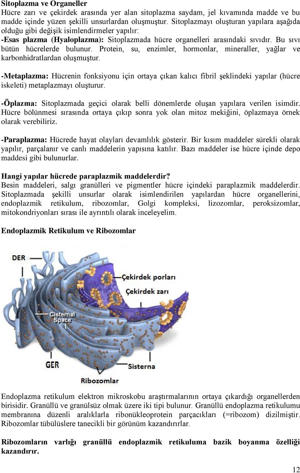 Protein, su, enzimler, hormonlar, mineraller, yağlar ve karbonhidratlardan oluşmuştur.