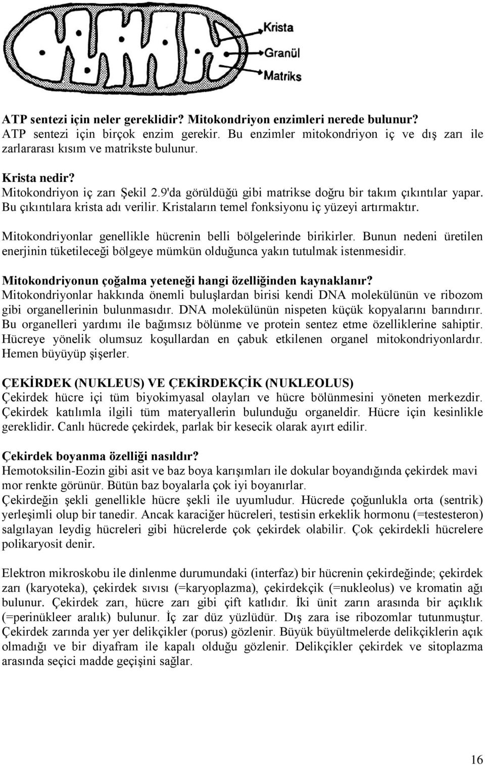 Mitokondriyonlar genellikle hücrenin belli bölgelerinde birikirler. Bunun nedeni üretilen enerjinin tüketileceği bölgeye mümkün olduğunca yakın tutulmak istenmesidir.