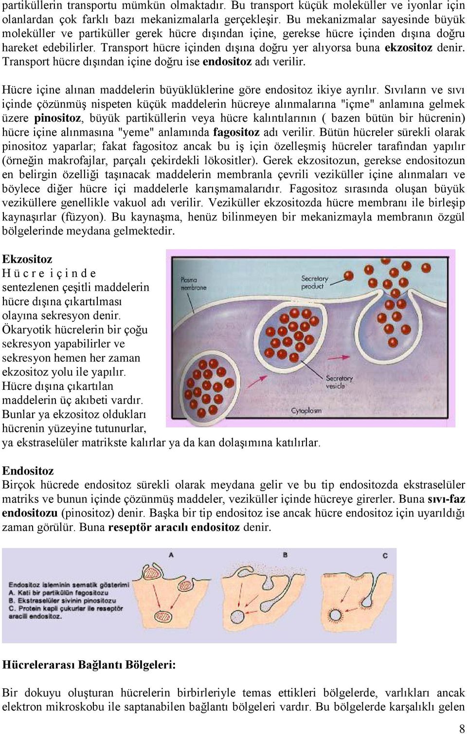 Transport hücre içinden dışına doğru yer alıyorsa buna ekzositoz denir. Transport hücre dışından içine doğru ise endositoz adı verilir.