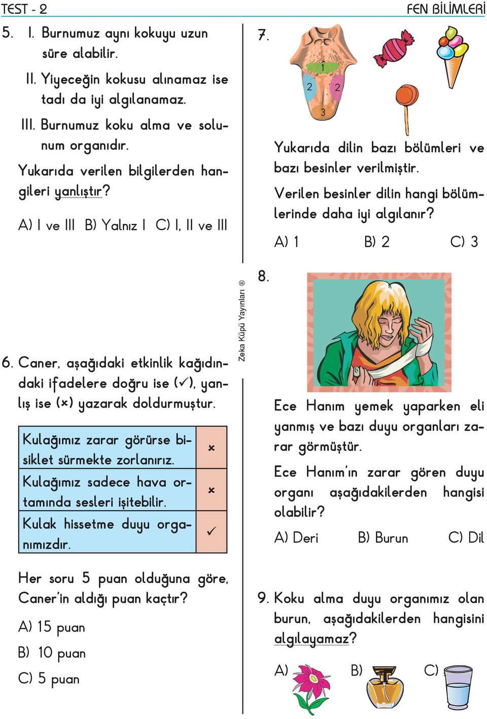 Verilen besinler dilin hangi bölümlerinde daha iyi algılanır? 1 2 3 6. Caner, aşağıdaki etkinlik kağıdındaki ifadelere doğru ise ( ), yanlış ise ( ) yazarak doldurmuştur.