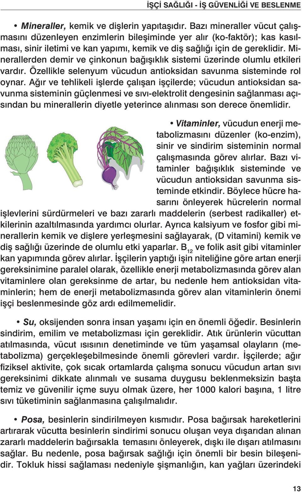 Minerallerden demir ve çinkonun bağışıklık sistemi üzerinde olumlu etkileri vardır. Özellikle selenyum vücudun antioksidan savunma sisteminde rol oynar.