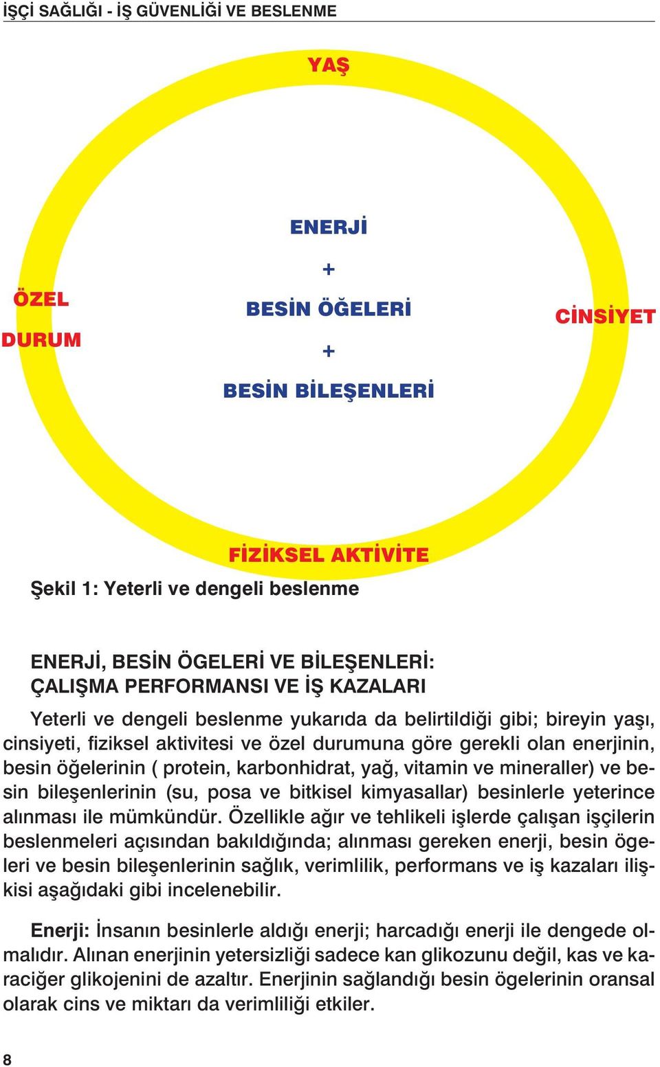 vitamin ve mineraller) ve besin bileşenlerinin (su, posa ve bitkisel kimyasallar) besinlerle yeterince alınması ile mümkündür.