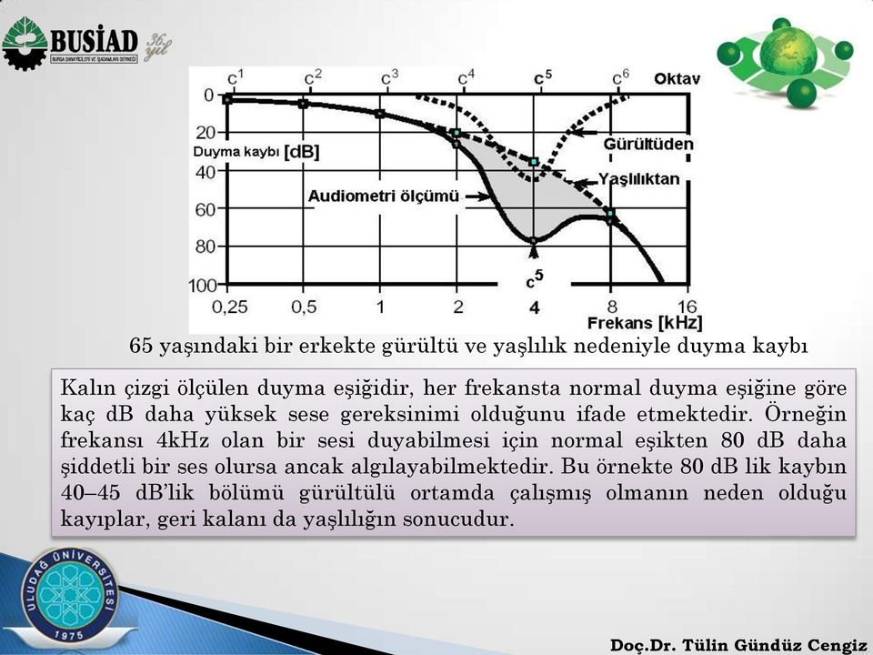 Örneğin frekansı 4kHz olan bir sesi duyabilmesi için normal eşikten 80 db daha şiddetli bir ses olursa ancak