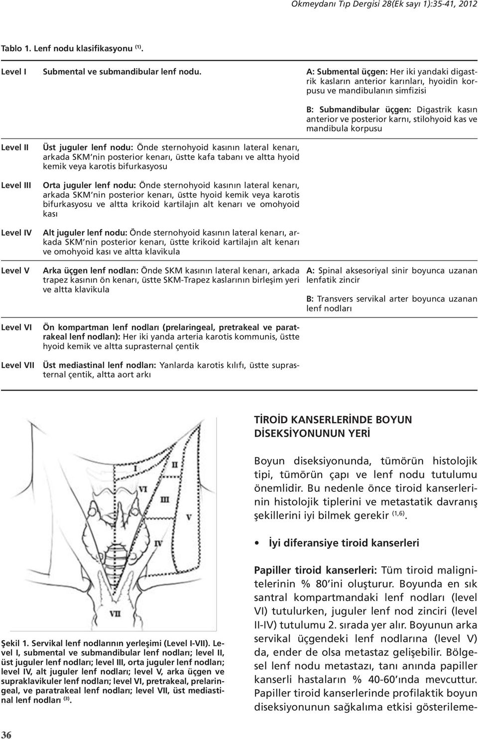 arkada SKM nin posterior kenarı, üstte krikoid kartilajın alt kenarı ve omohyoid kası ve altta klavikula Her iki yandaki digastrik kasların anterior karınları, hyoidin korpusu ve mandibulanın