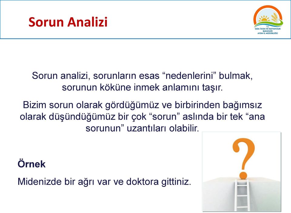 Bizim sorun olarak gördüğümüz ve birbirinden bağımsız olarak