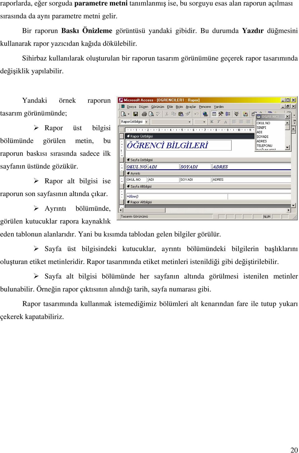 Yandaki örnek raporun tasarım görünümünde; Rapor üst bilgisi bölümünde görülen metin, bu raporun baskısı sırasında sadece ilk sayfanın üstünde gözükür.