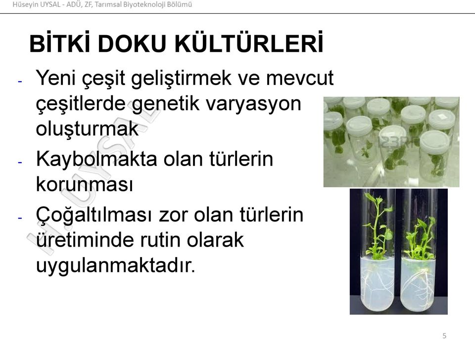 Kaybolmakta olan türlerin korunması - Çoğaltılması