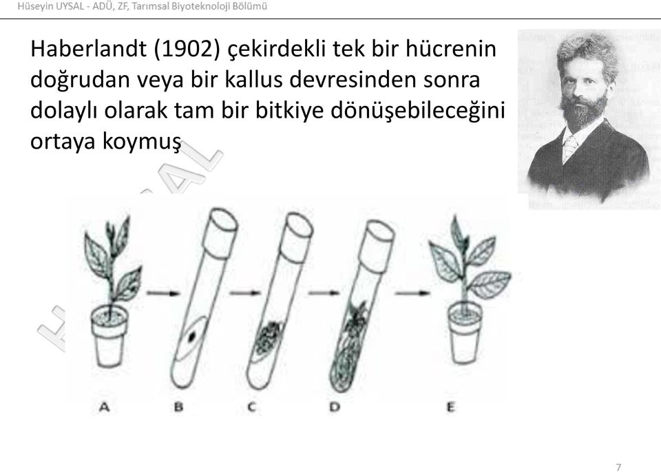 devresinden sonra dolaylı olarak tam