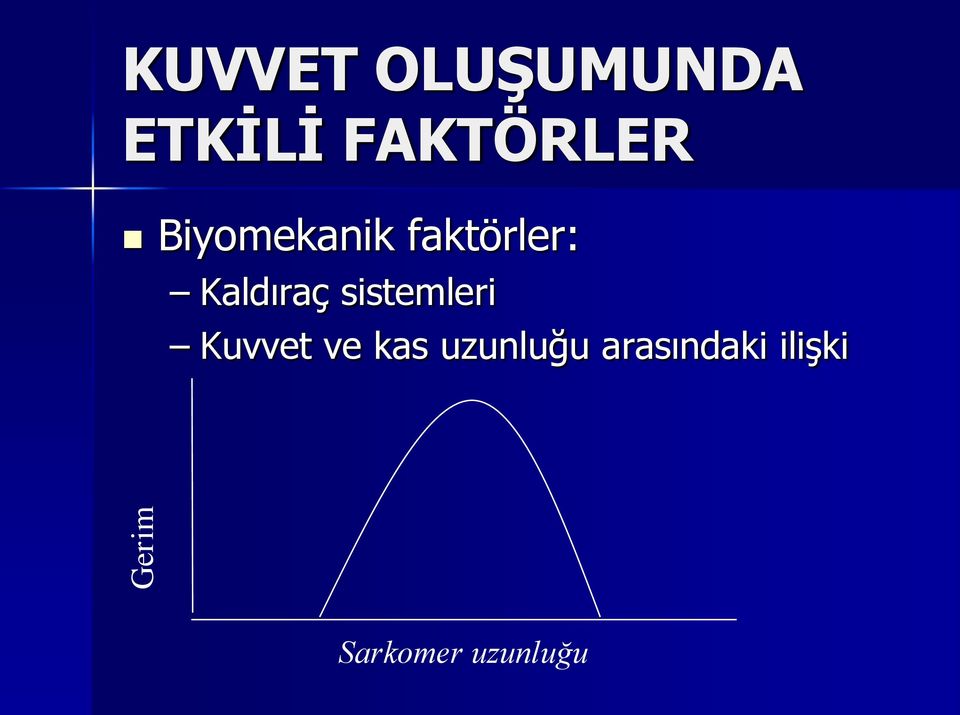 Kaldıraç sistemleri Kuvvet ve kas