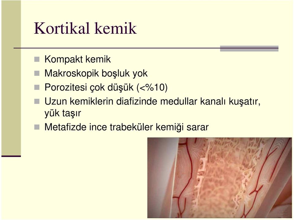 kemiklerin diafizinde medullar kanalı