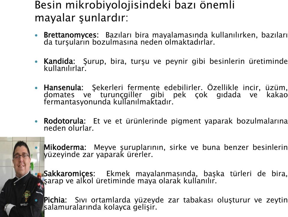 Özellikle incir, üzüm, domates ve turunçgiller gibi pek çok gıdada ve kakao fermantasyonunda kullanılmaktadır. Rodotorula: Et ve et ürünlerinde pigment yaparak bozulmalarına neden olurlar.