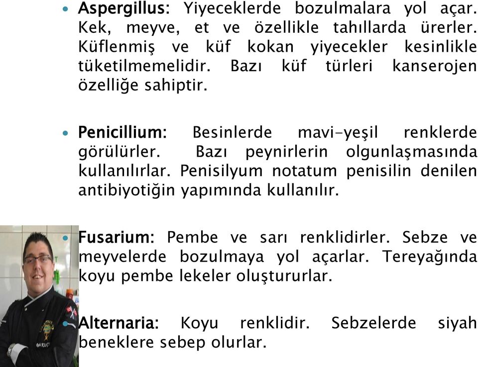 Penicillium: Besinlerde mavi-yeşil renklerde görülürler. Bazı peynirlerin olgunlaşmasında kullanılırlar.