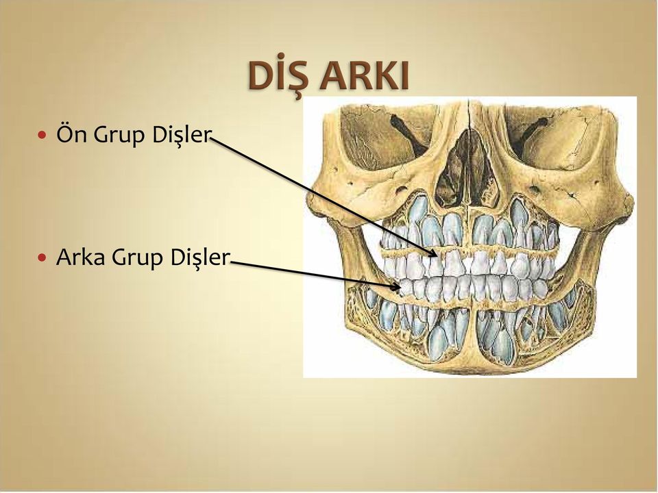 Arka Grup