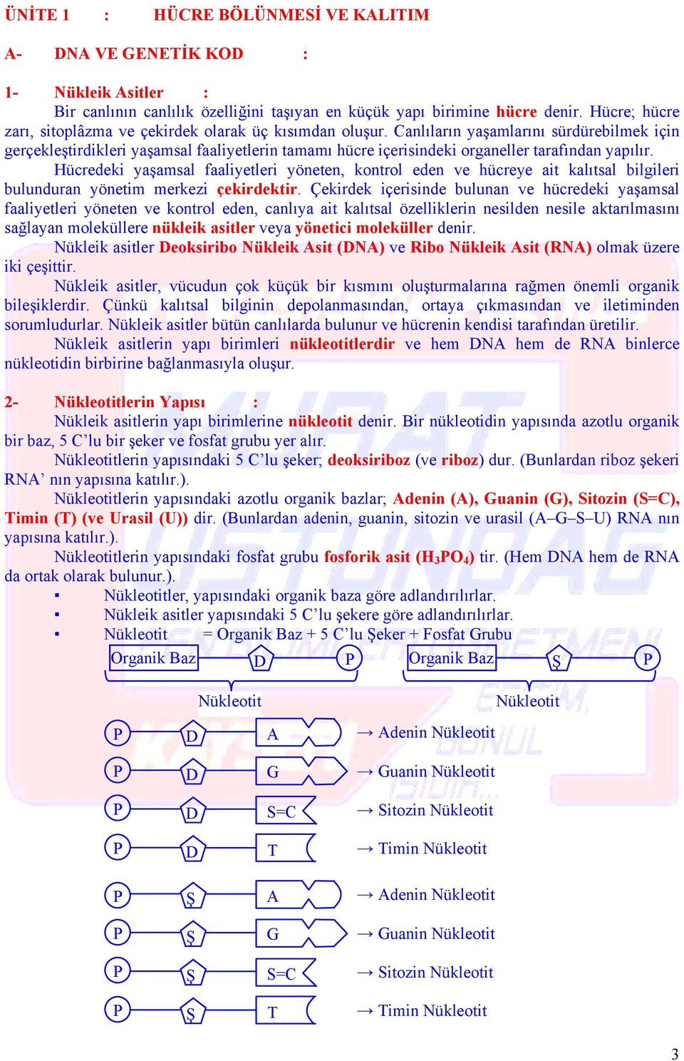 Canlıların yaşamlarını sürdürebilmek için gerçekleştirdikleri yaşamsal faaliyetlerin tamamı hücre içerisindeki organeller tarafından yapılır.