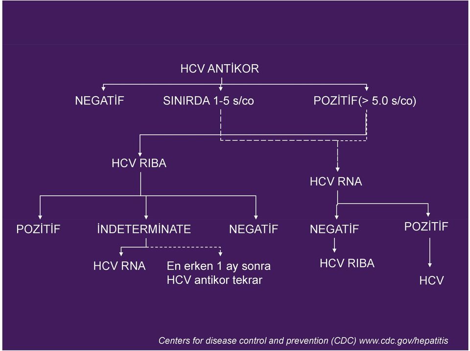 POZİTİF HCV RNA En erken 1 ay sonra HCV antikor tekrar HCV