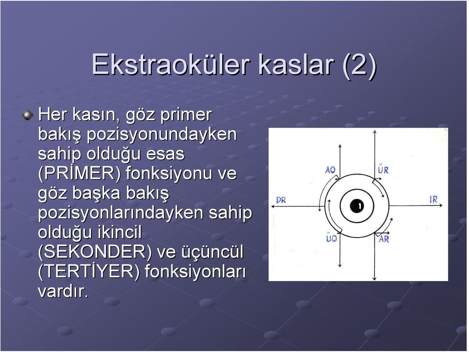 göz z başka bakış pozisyonlarındayken ndayken sahip olduğu u