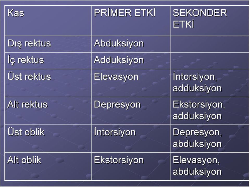 İntorsiyon Ekstorsiyon SEKONDER ETKİ İntorsiyon, adduksiyon