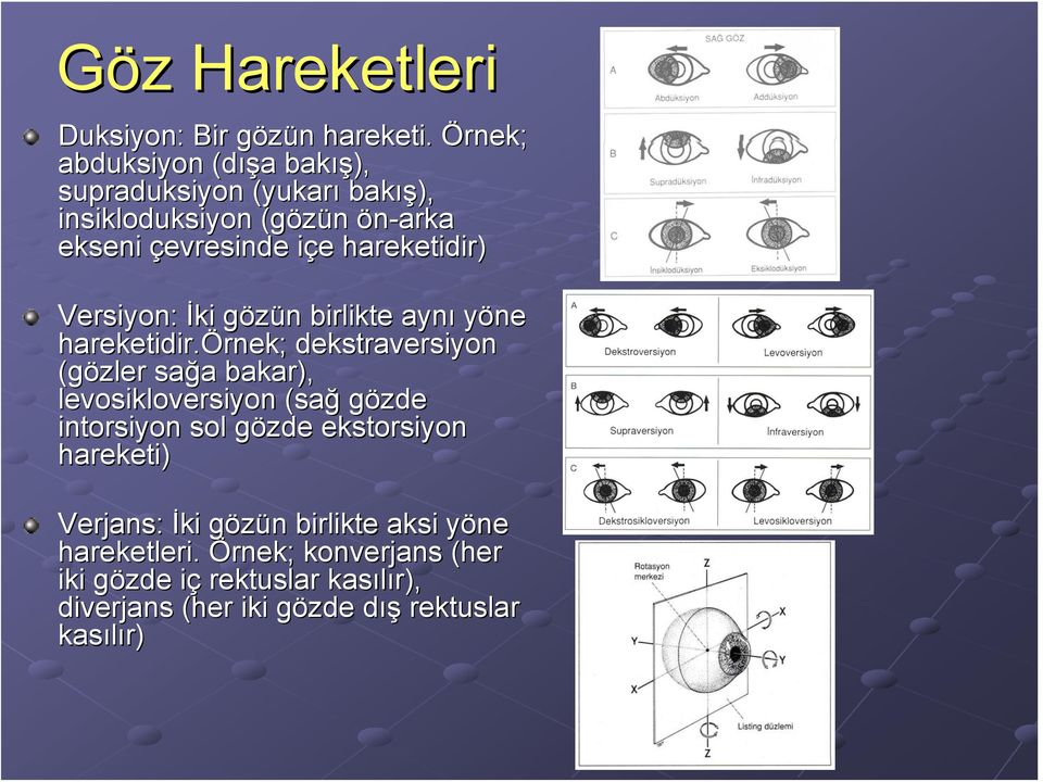 hareketidir) Versiyon: İki gözün g n birlikte aynı yöne hareketidir.