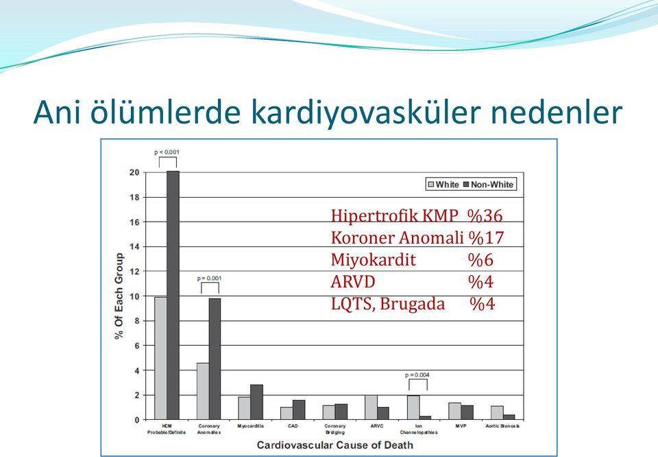 Koroner Anomali %17