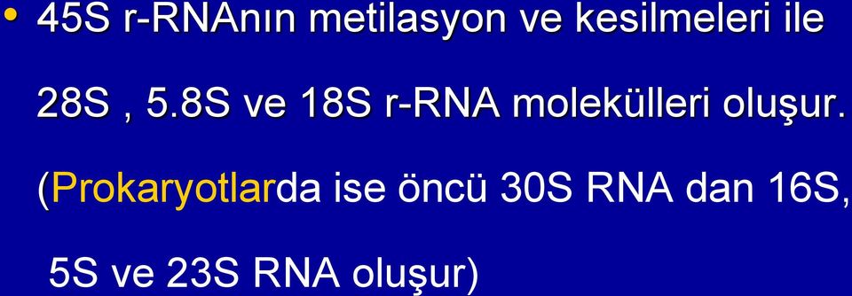 8S ve 18S r-rna molekülleri oluşur.